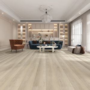 Hessian / SGA-8803